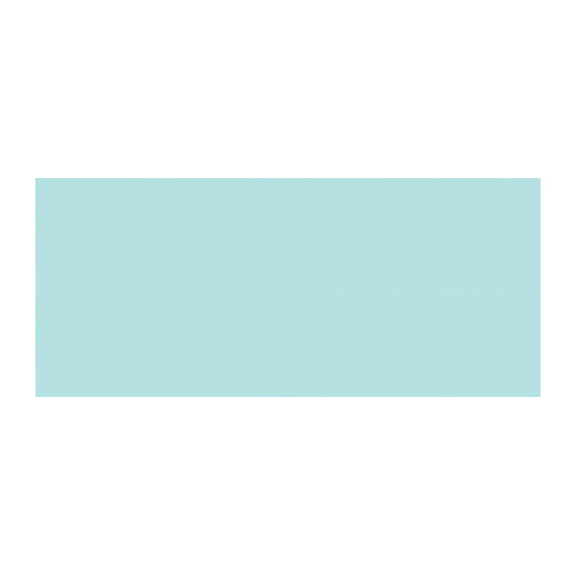 TAURUS AUTO DARKENING SPECTACLE PROTECTIVE LENS